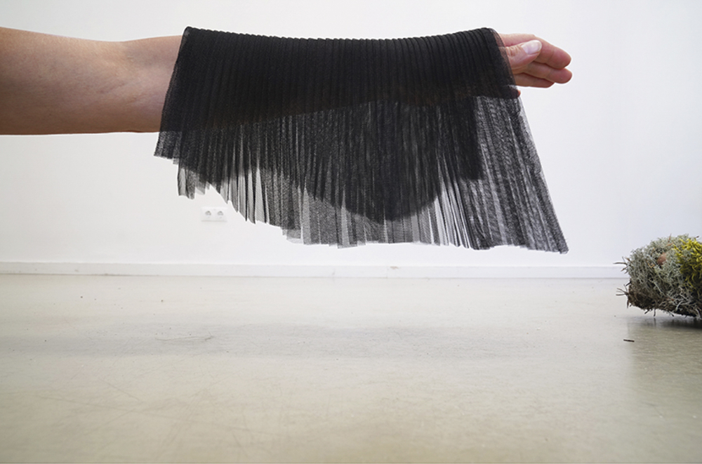 Hering und die Fluse